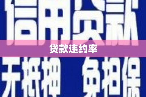 林甸贷款违约率