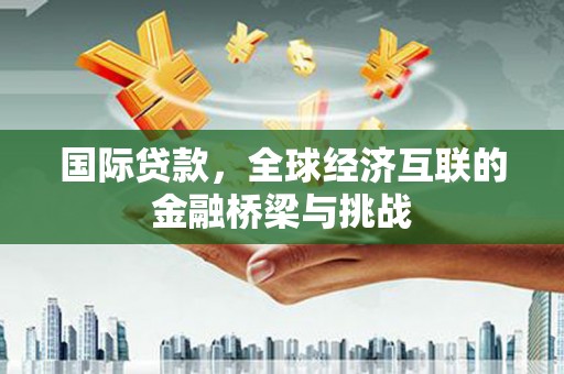 林甸国际贷款，全球经济互联的金融桥梁与挑战