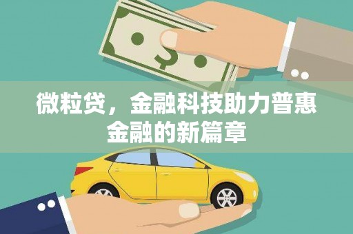林甸微粒贷，金融科技助力普惠金融的新篇章