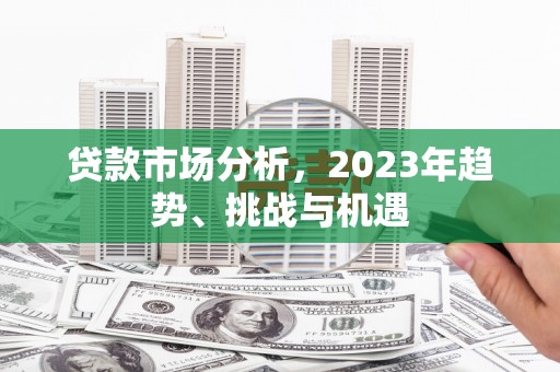 林甸贷款市场分析，2023年趋势、挑战与机遇