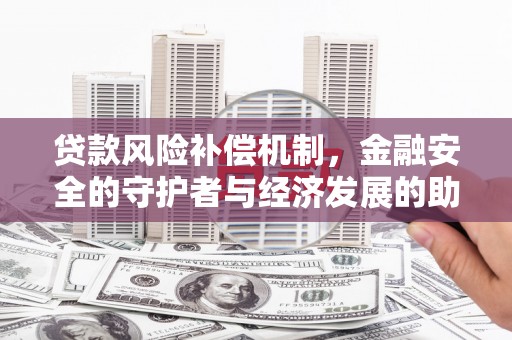 林甸贷款风险补偿机制，金融安全的守护者与经济发展的助推器