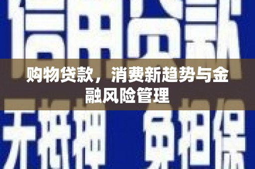 林甸购物贷款，消费新趋势与金融风险管理