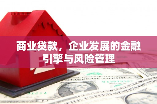 林甸商业贷款，企业发展的金融引擎与风险管理