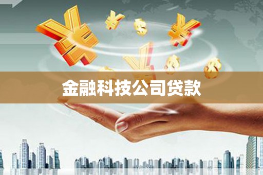 林甸金融科技公司贷款