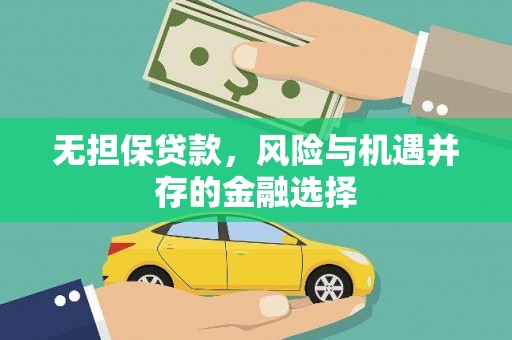 林甸无担保贷款，风险与机遇并存的金融选择