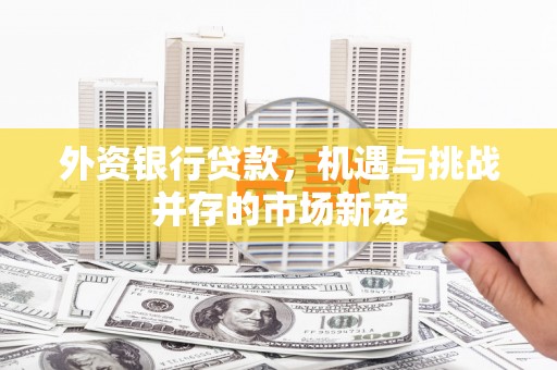 林甸外资银行贷款，机遇与挑战并存的市场新宠