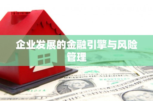 林甸企业发展的金融引擎与风险管理