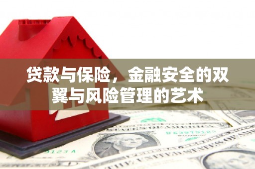 林甸贷款与保险，金融安全的双翼与风险管理的艺术