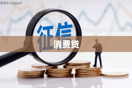 林甸消费贷