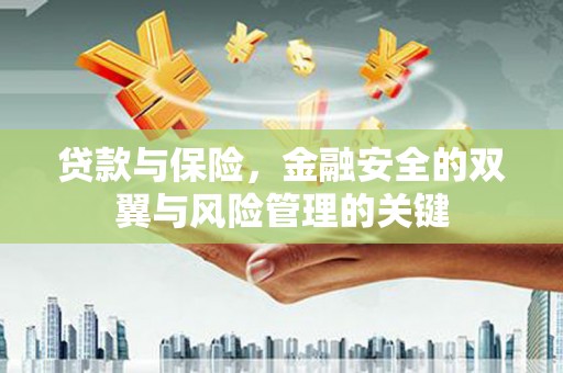 林甸贷款与保险，金融安全的双翼与风险管理的关键