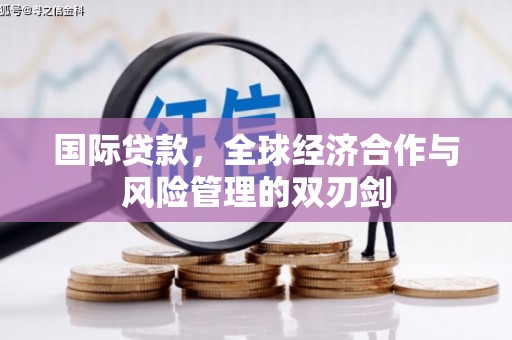林甸国际贷款，全球经济合作与风险管理的双刃剑
