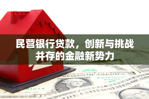 林甸民营银行贷款，创新与挑战并存的金融新势力