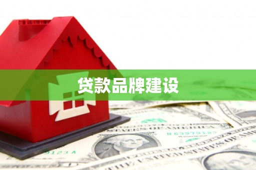林甸贷款品牌建设