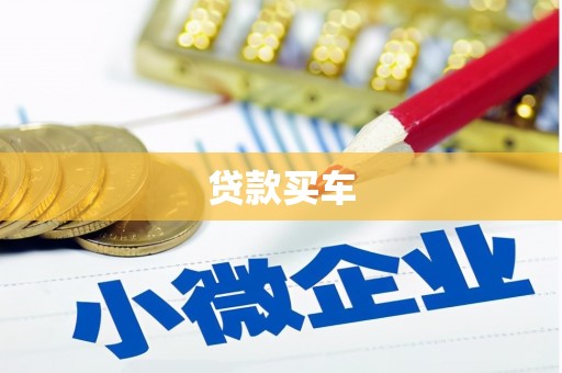 林甸贷款买车