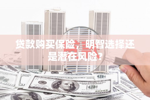 林甸贷款购买保险，明智选择还是潜在风险？