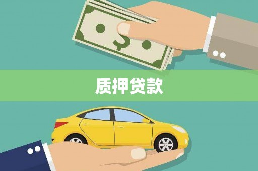 林甸质押贷款