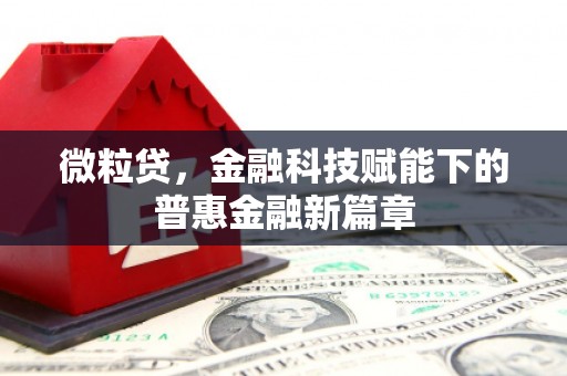 林甸微粒贷，金融科技赋能下的普惠金融新篇章