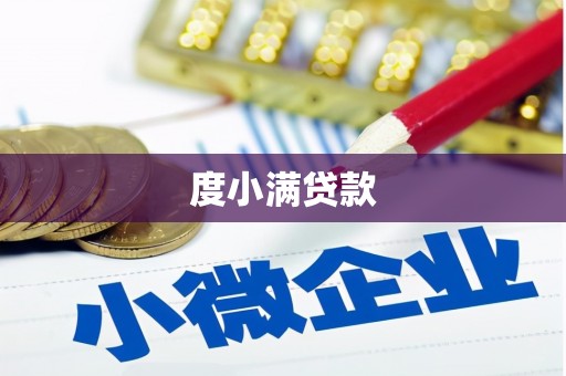 林甸度小满贷款