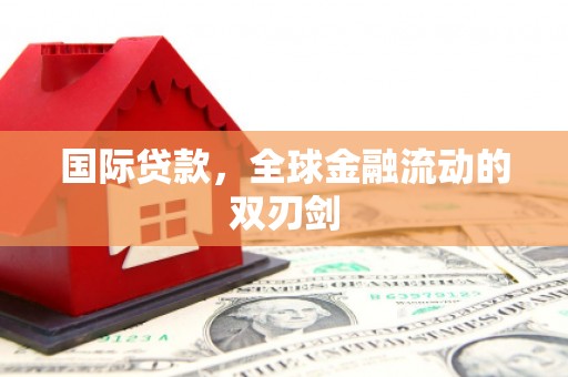林甸国际贷款，全球金融流动的双刃剑