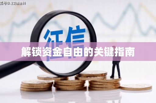 林甸解锁资金自由的关键指南