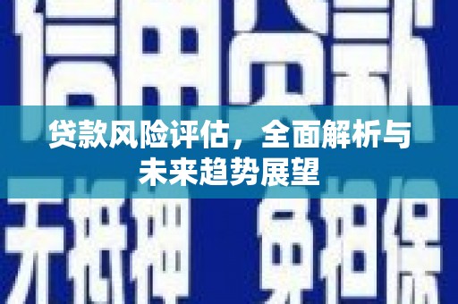 林甸贷款风险评估，全面解析与未来趋势展望