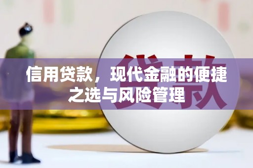 林甸信用贷款，现代金融的便捷之选与风险管理