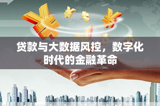 林甸贷款与大数据风控，数字化时代的金融革命