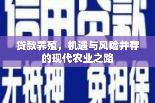 林甸贷款养殖，机遇与风险并存的现代农业之路
