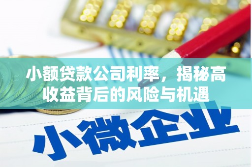 林甸小额贷款公司利率，揭秘高收益背后的风险与机遇