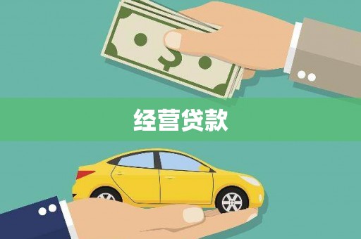 林甸经营贷款
