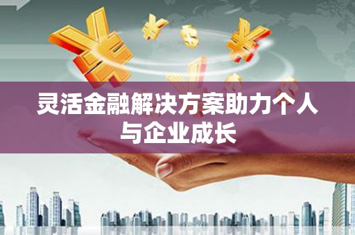 林甸灵活金融解决方案助力个人与企业成长