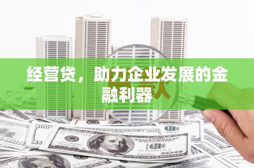 林甸经营贷，助力企业发展的金融利器