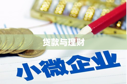 林甸贷款与理财