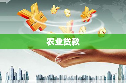林甸农业贷款