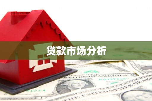林甸贷款市场分析