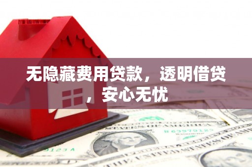 林甸无隐藏费用贷款，透明借贷，安心无忧