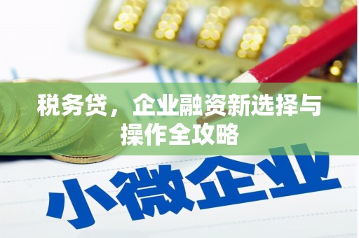 林甸税务贷，企业融资新选择与操作全攻略
