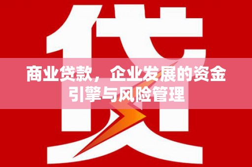 林甸商业贷款，企业发展的资金引擎与风险管理
