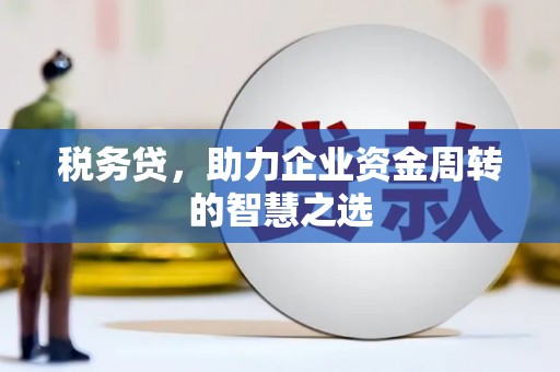 林甸税务贷，助力企业资金周转的智慧之选