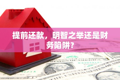 林甸提前还款，明智之举还是财务陷阱？