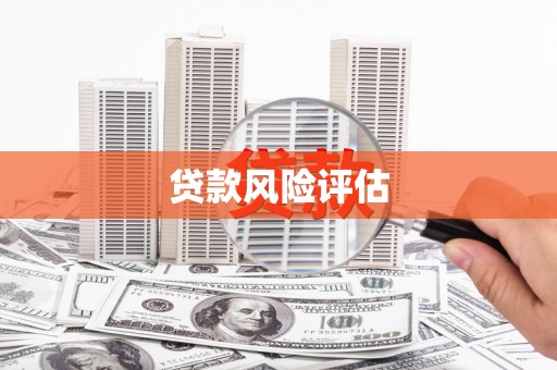 林甸贷款风险评估