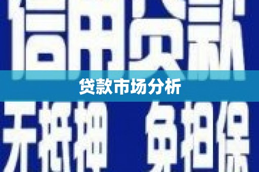 林甸贷款市场分析