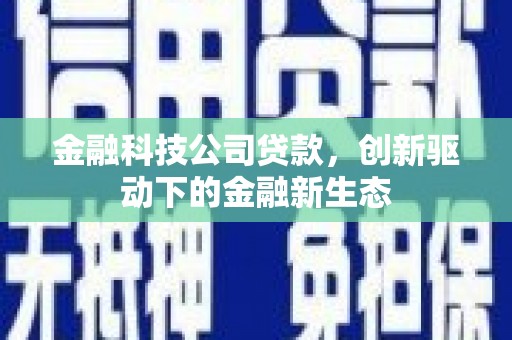 林甸金融科技公司贷款，创新驱动下的金融新生态
