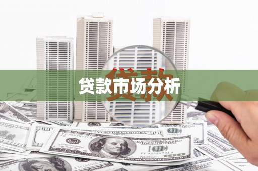 林甸贷款市场分析