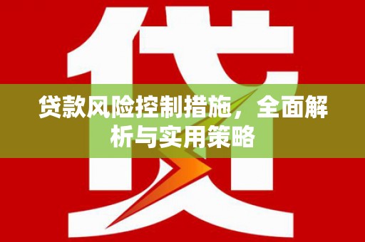 林甸贷款风险控制措施，全面解析与实用策略