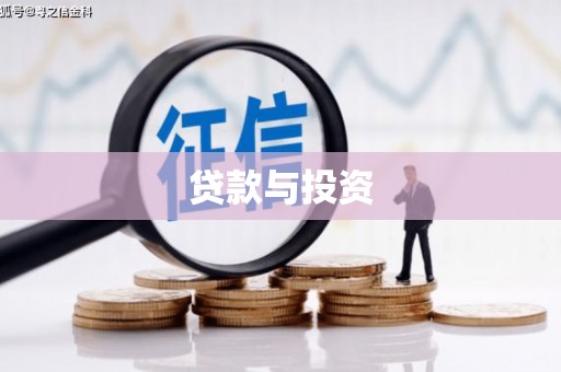 林甸贷款与投资