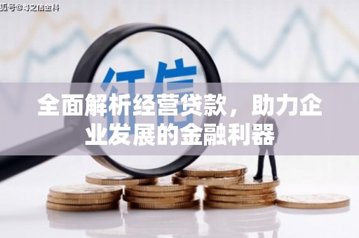 林甸全面解析经营贷款，助力企业发展的金融利器