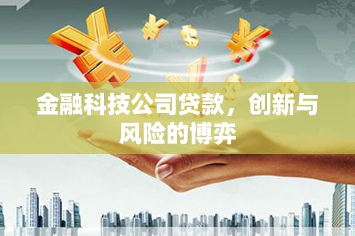 林甸金融科技公司贷款，创新与风险的博弈