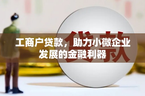 林甸工商户贷款，助力小微企业发展的金融利器