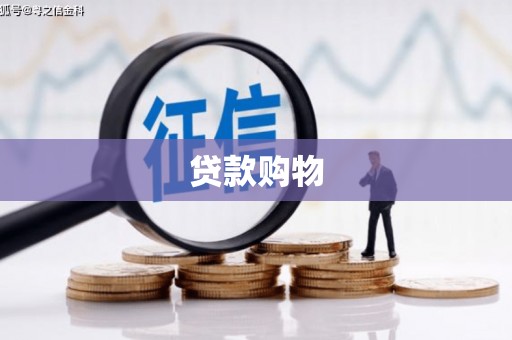 林甸贷款购物